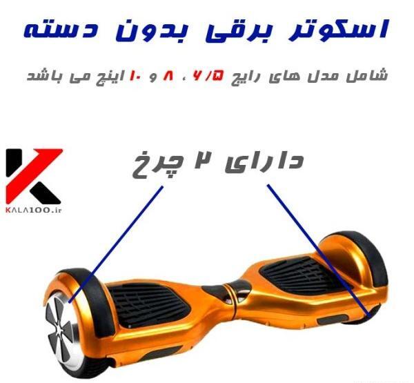 عکس های جوجه تیغی خانگی