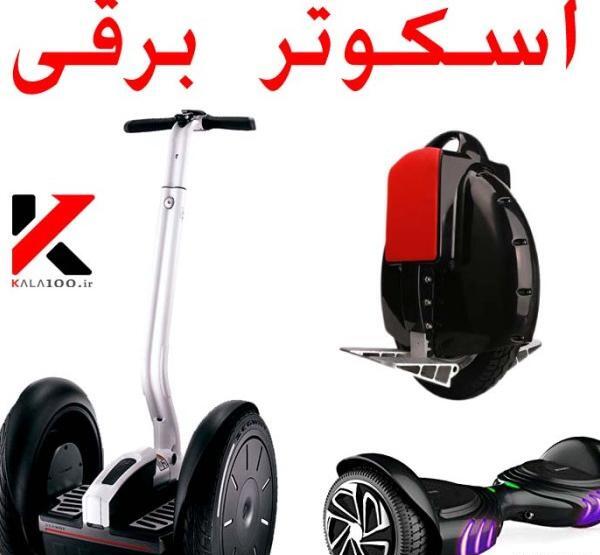 عکس های جوجه تیغی خانگی