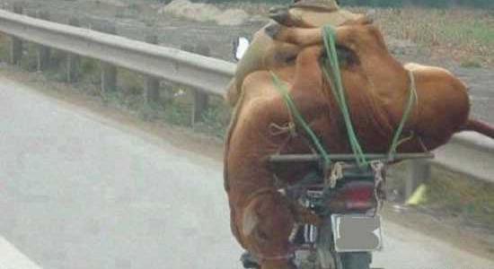 عکس جالب دیدنی جدید