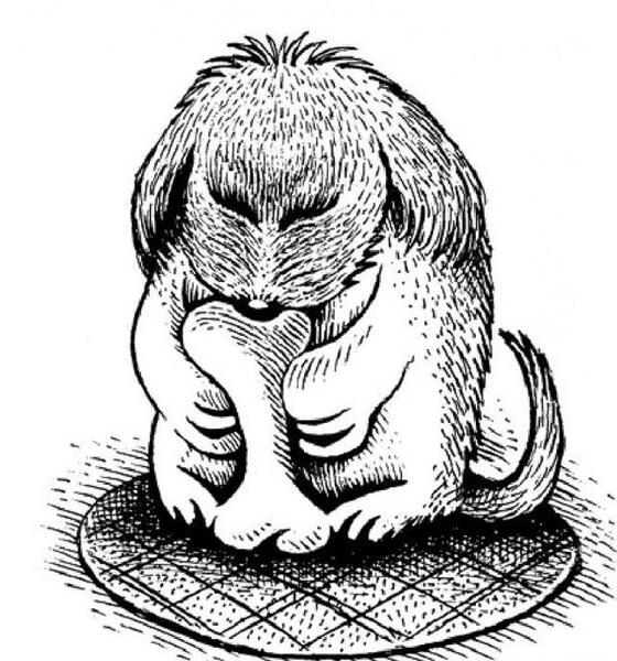 چالش عکس حیوانات