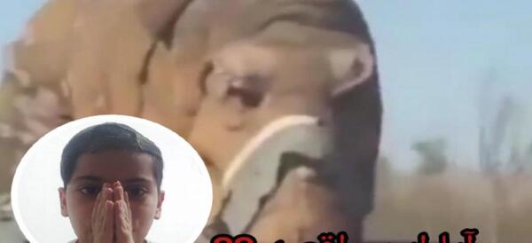 عکس دایناسور زنده