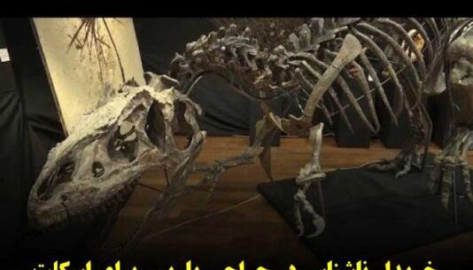 عکس دایناسور زنده