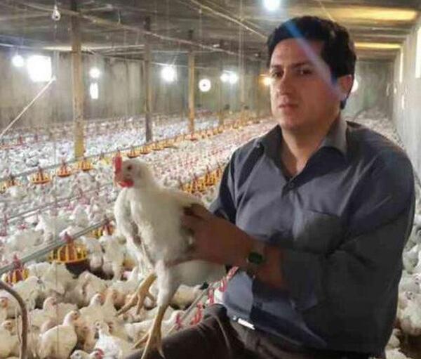 عکس بهنام حکیمی