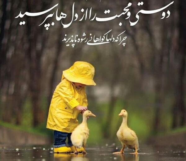 عکس ضرب المثل میهن دوستی نشانه ایمان است