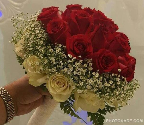 عکس طالبان فراه