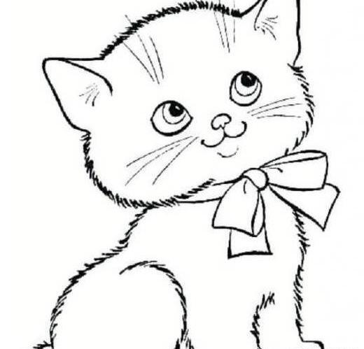 عکس نقاشی زیبا گربه آسان