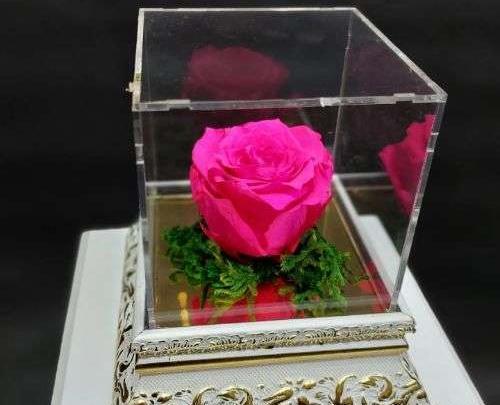 عکس گل رز زرد عاشقانه