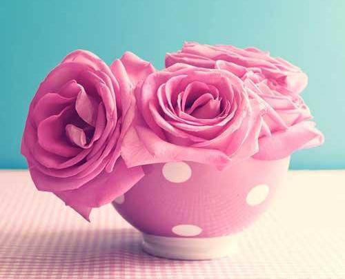 عکس گل رز زرد عاشقانه