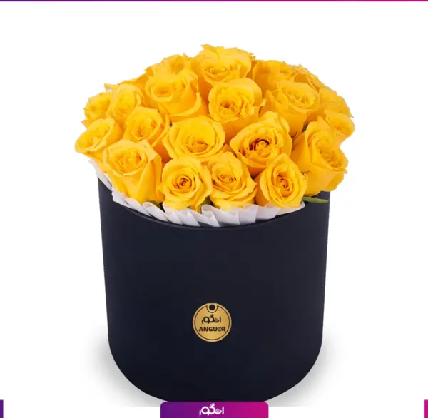 عکس گل رز زرد عاشقانه