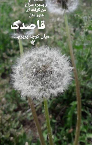 عکس پروفایل دخترونه صورتی اینستاگرام