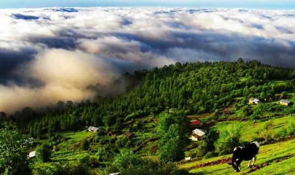 عکس تصاویر طبیعت زیبای فریدونشهر