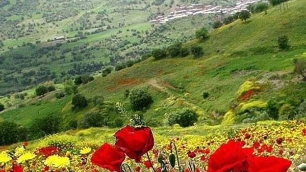 عکس تصاویر طبیعت زیبای فریدونشهر