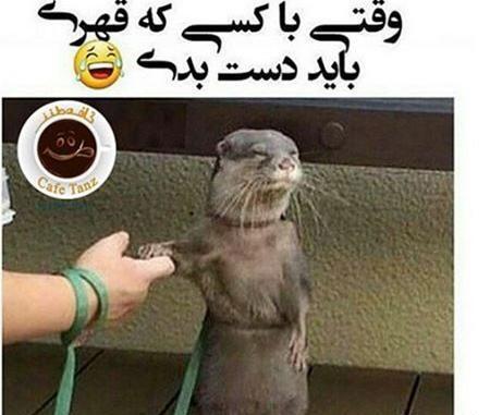 عکس پروفایل خلسه