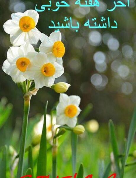 عکس صبح بخیر اخر هفته