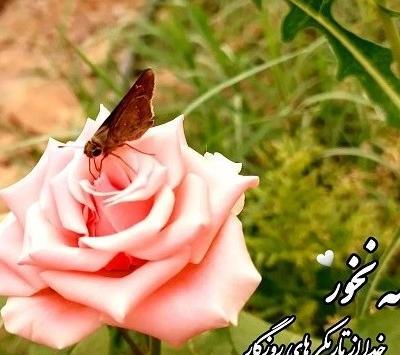 عکس پروفایل عکس