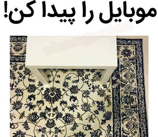 عکس شتر را پیدا کن