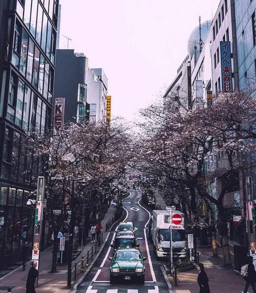 عکس های ژاپن