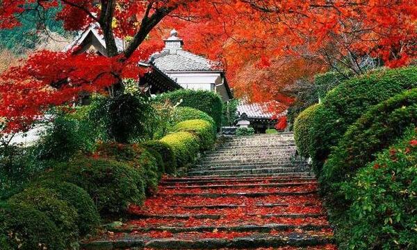 عکس های ژاپن