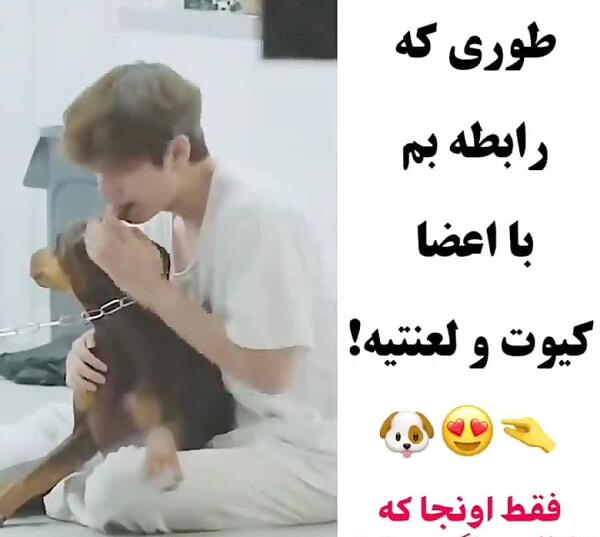 عکس طرفداران بی تی اس در کنسرت
