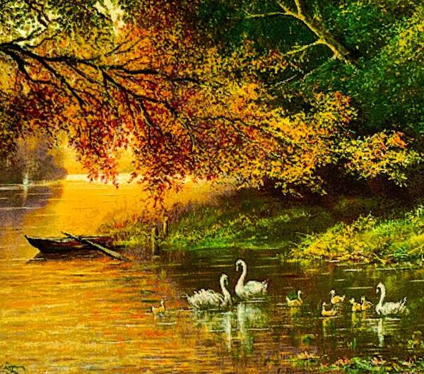 عکس قو برای پروفایل