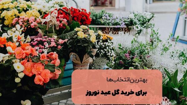 عکس گلهای نوروزی