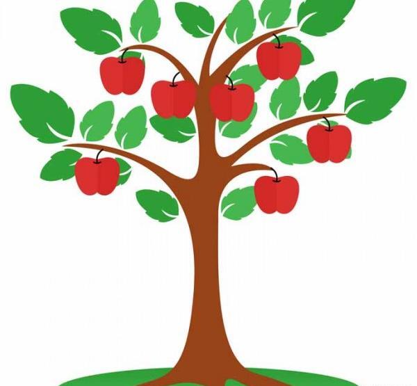 عکس نقاشی سیب