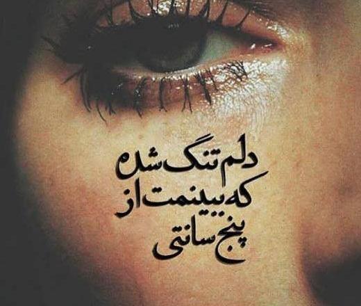 عکس ثریا گورسل