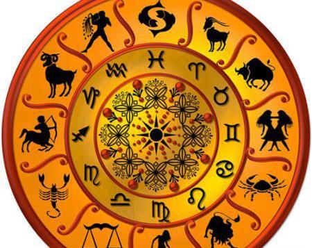 عکس حیوانات سال