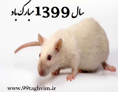 عکس حیوانات سال