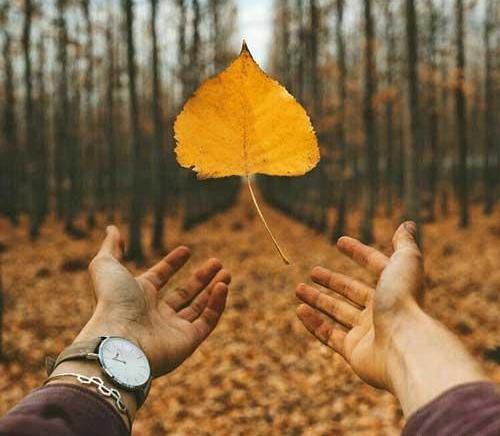 عکس پروفایل دخترانه خزانی