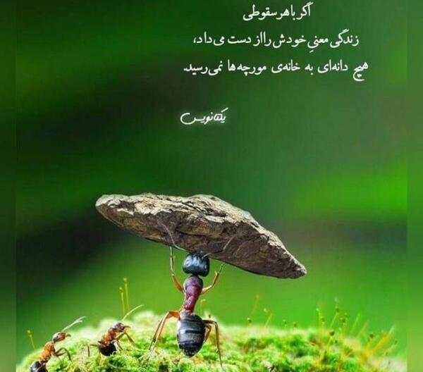 بهترین عکس خدا برای پروفایل