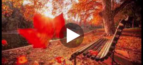 عکس قلب قشنگ عاشقانه
