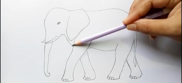 عکس نقاشی سیاه قلم فیل