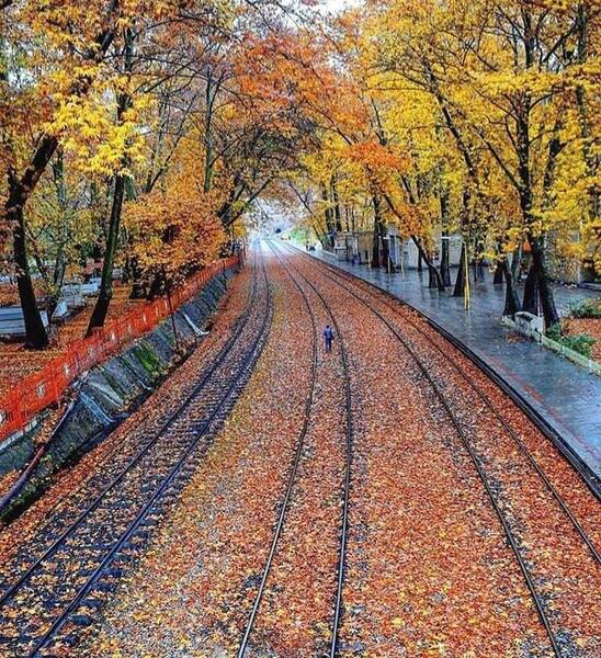 عکس پاییز ایستگاه بیشه