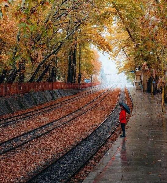 عکس پاییز ایستگاه بیشه
