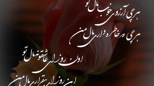 عکس شیر غران هخامنشی