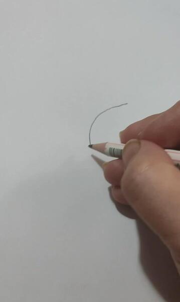 عکس نقاشی گل چند پر