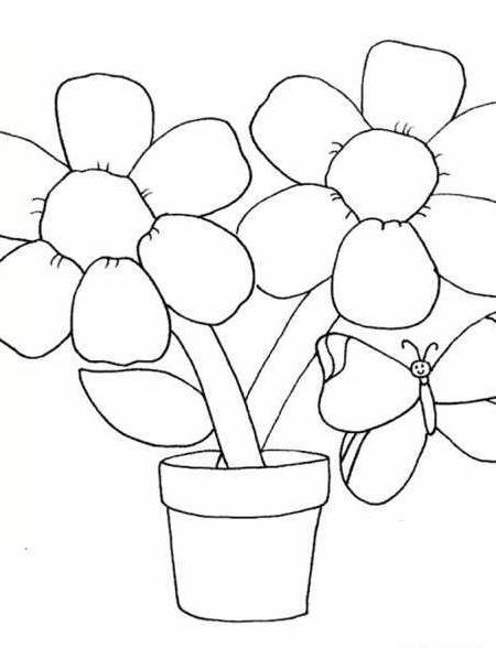 عکس نقاشی گل چند پر