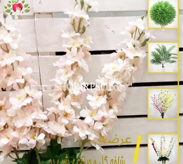 عکس نقاشی گل چند پر