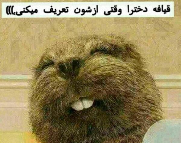 عکس های خنده دار روز دختر