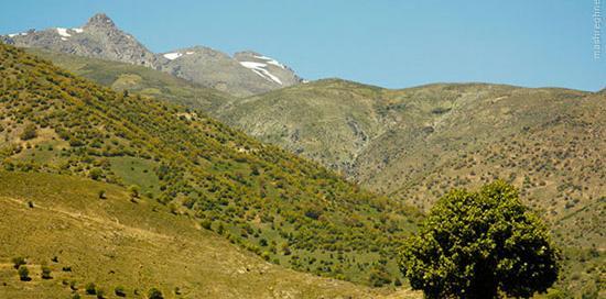 عکس زیبای طبیعت کردستان