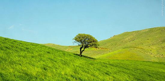 عکس زیبای طبیعت کردستان