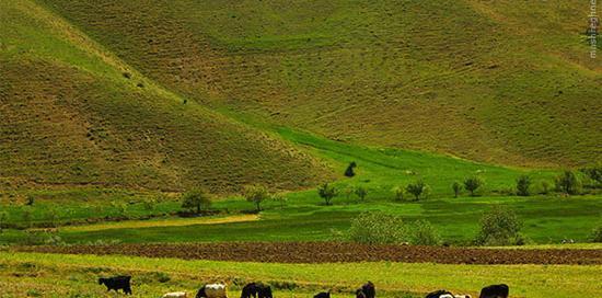 عکس زیبای طبیعت کردستان