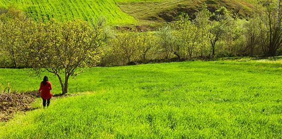 عکس زیبای طبیعت کردستان