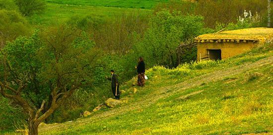 عکس زیبای طبیعت کردستان