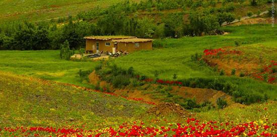 عکس زیبای طبیعت کردستان