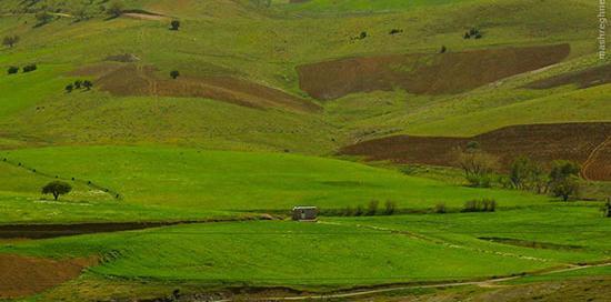 عکس زیبای طبیعت کردستان