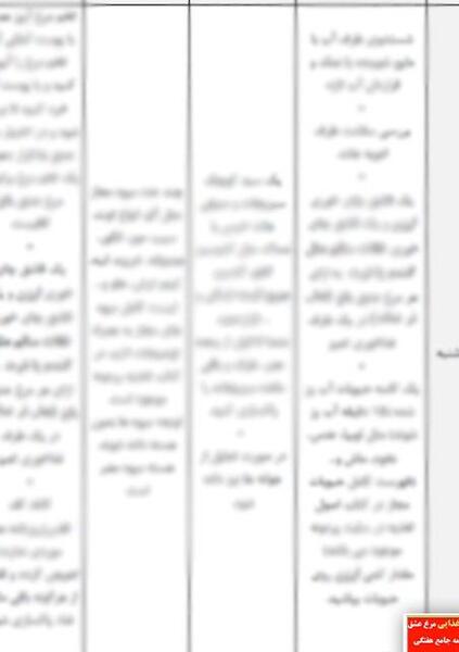 عکس برنامه غذایی مرغ عشق از شنبه تا جمعه