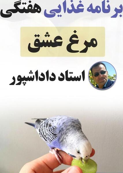 عکس برنامه غذایی مرغ عشق از شنبه تا جمعه