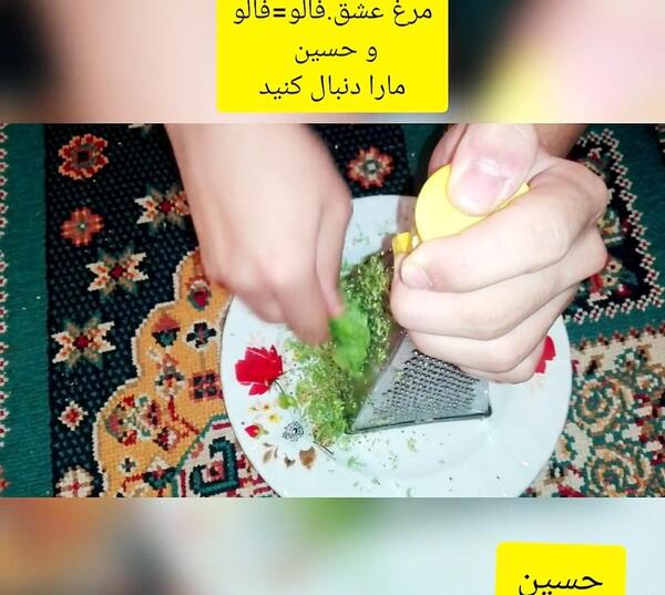 عکس برنامه غذایی مرغ عشق از شنبه تا جمعه